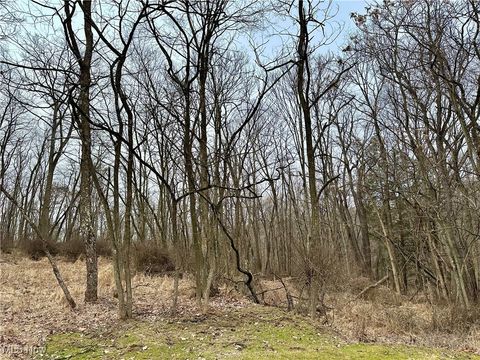 Vacant Land For Sale - TBD Mchendry Street<br/> Hancock County, Weirton, WV 26062