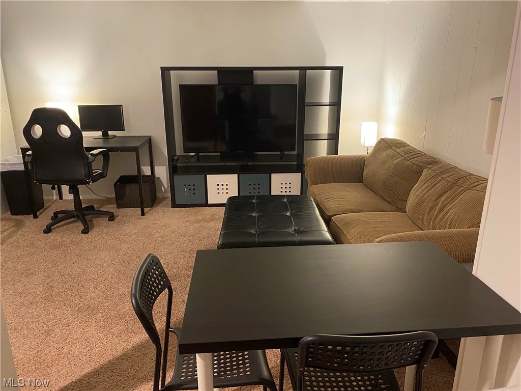 Chestnut Commons Condo - Residential