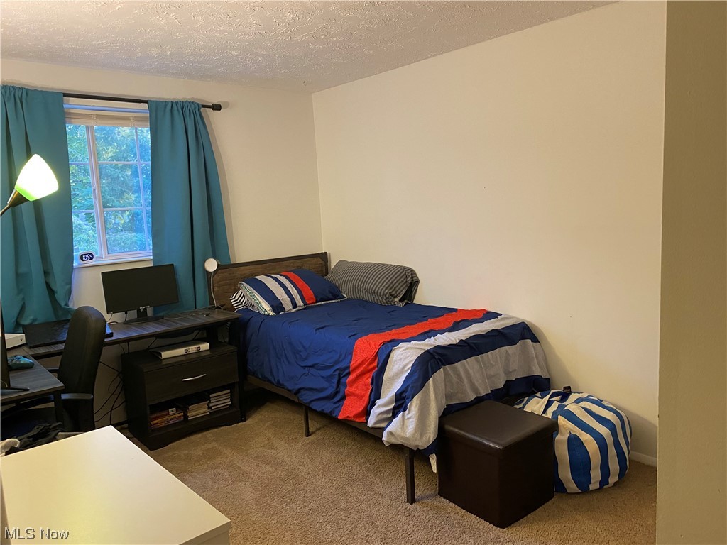 Chestnut Commons Condo - Residential