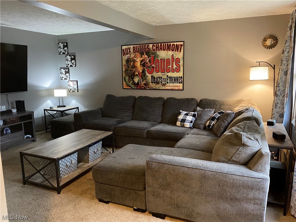 Chestnut Commons Condo - Residential