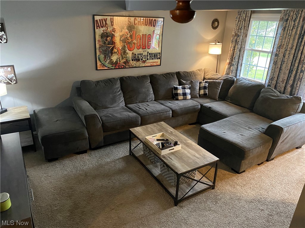 Chestnut Commons Condo - Residential