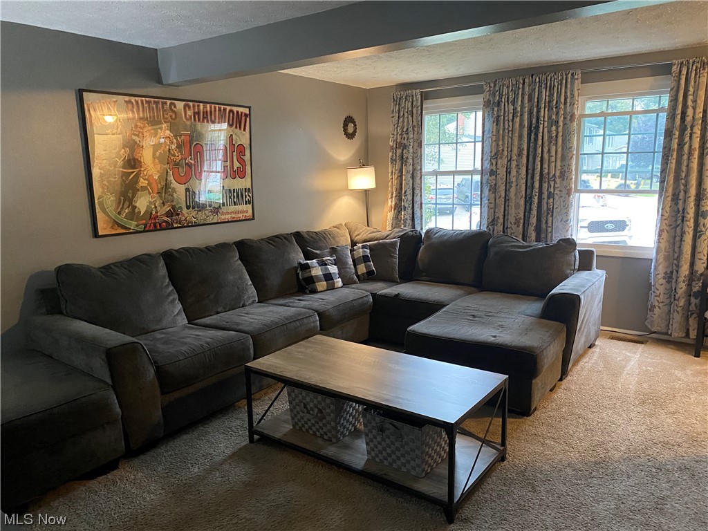 Chestnut Commons Condo - Residential