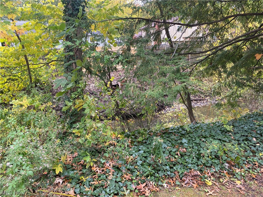 Chestnut Commons Condo - Residential