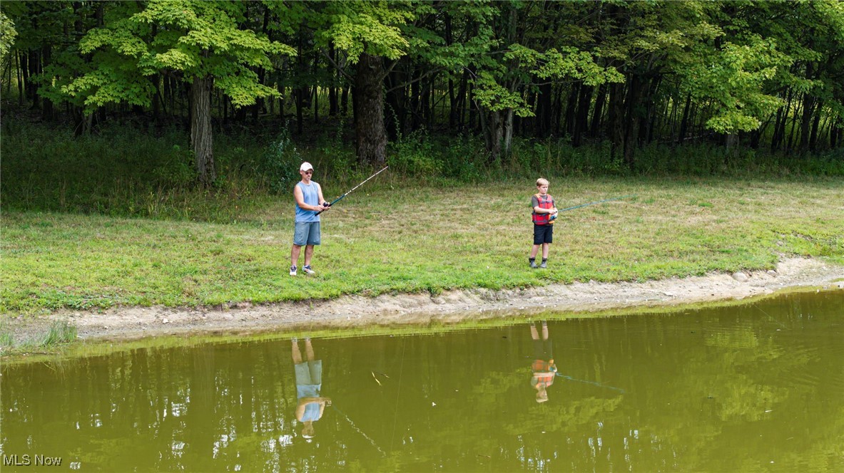 Pierpont, Ohio 44082, United States, ,1 BathroomBathrooms,Residential,Pending,201027