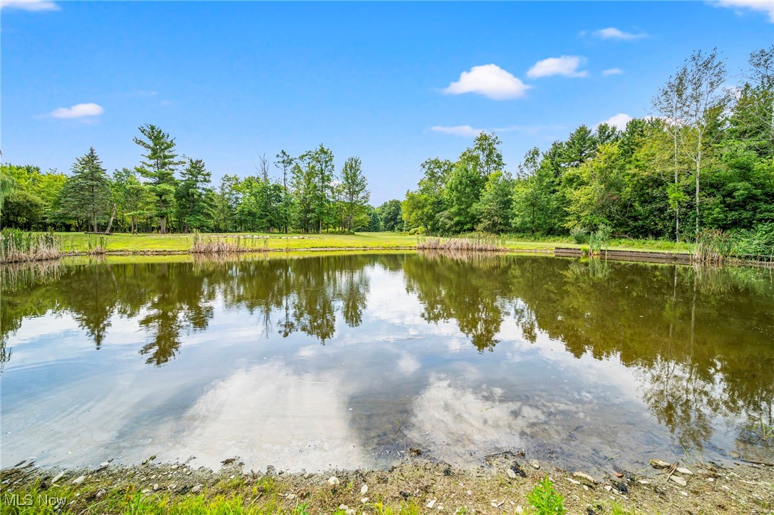 Pierpont, Ohio 44082, United States, ,1 BathroomBathrooms,Residential,Pending,201027