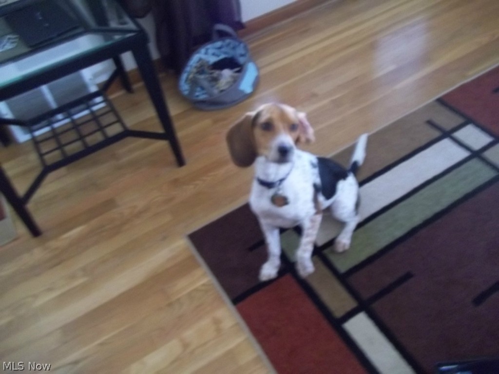 H A Stahl Properties Cos Ridg - Residential