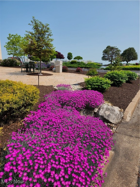 Shores Condo - Residential