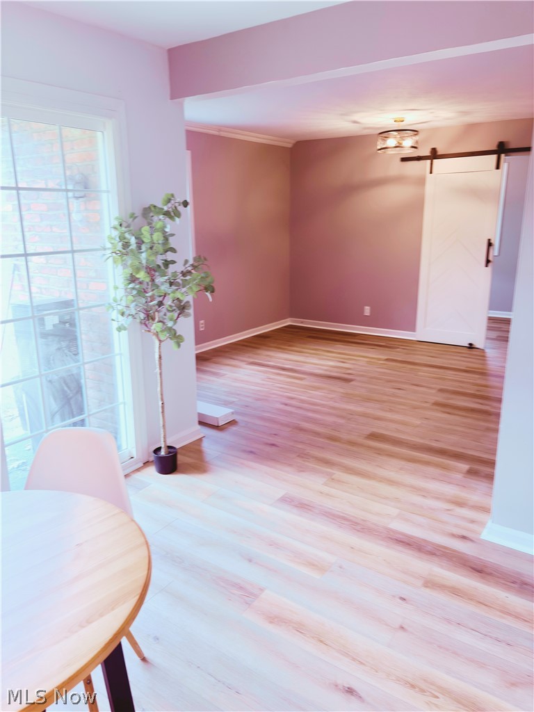Georgetown/Lyndhurst Condo Bld - Residential