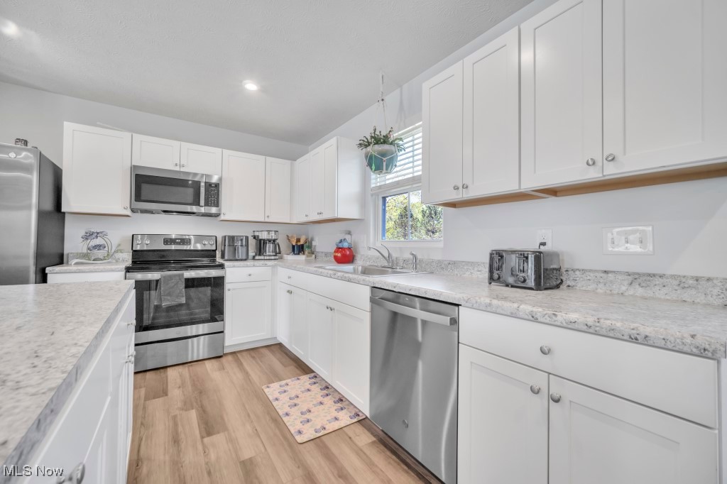 159 Wildflower Drive, Elyria, Ohio image 20