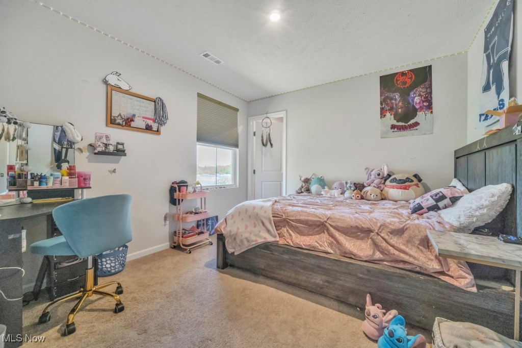 159 Wildflower Drive, Elyria, Ohio image 38