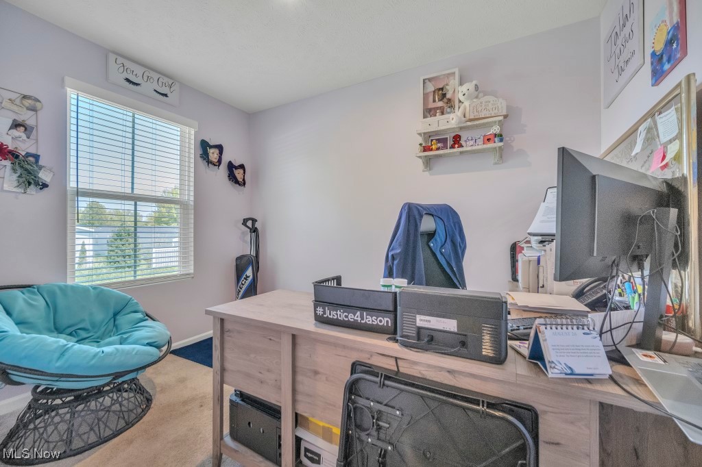 159 Wildflower Drive, Elyria, Ohio image 30