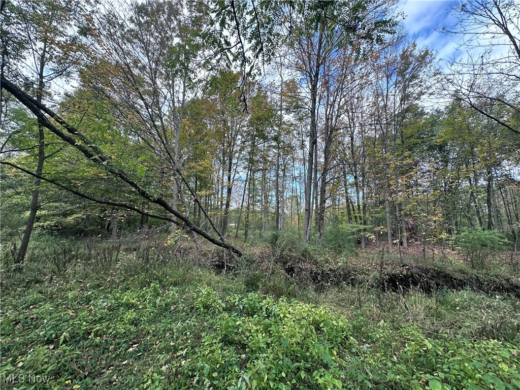 East Palestine, Ohio 44443, United States, ,Land,Active,226912