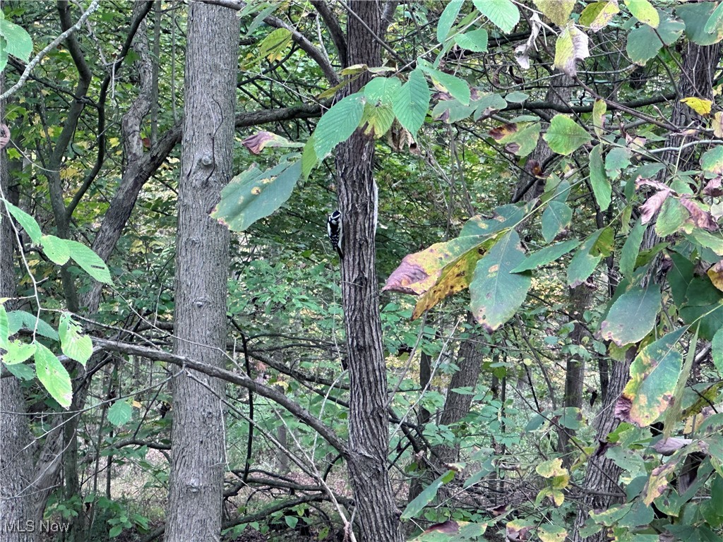 East Palestine, Ohio 44443, United States, ,Land,Active,226912