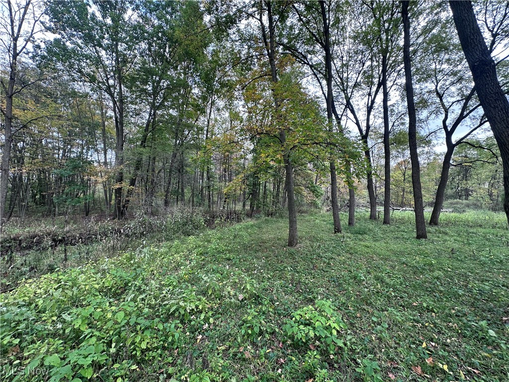 East Palestine, Ohio 44443, United States, ,Land,Active,226912