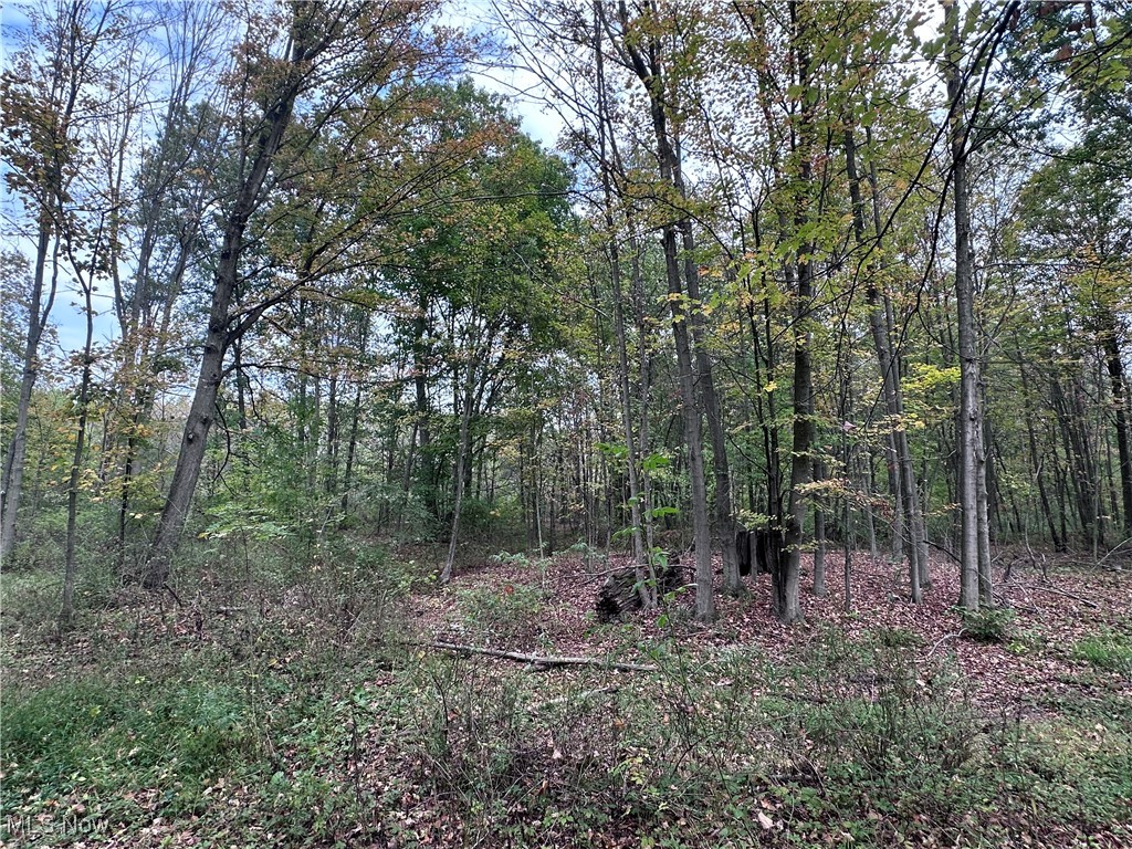 East Palestine, Ohio 44443, United States, ,Land,Active,226912