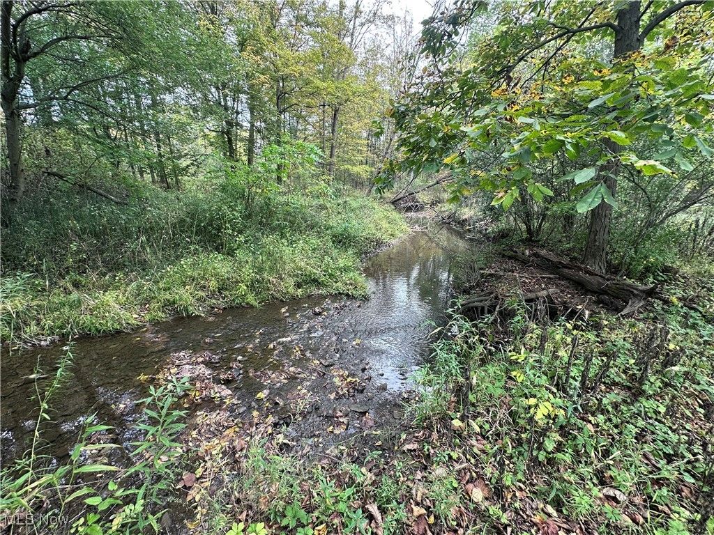 Photo of 28 Poland Road, East Palestine, OH 44443 (MLS # 5164091)