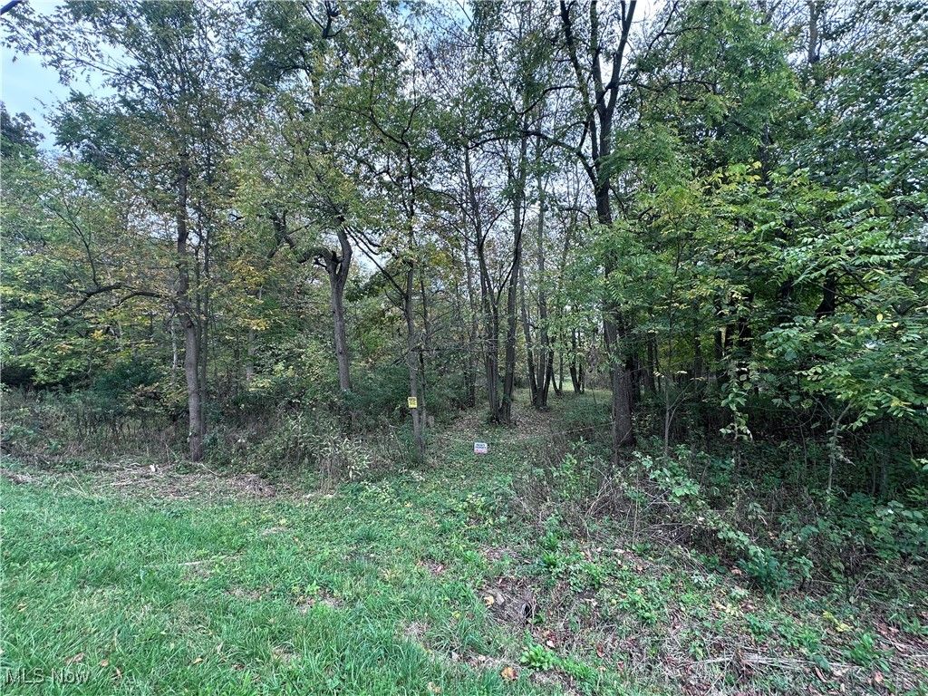 Photo of 28 Poland Road, East Palestine, OH 44443 (MLS # 5164091)