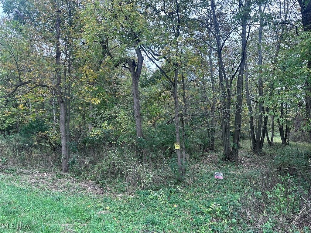 Photo of 28 Poland Road, East Palestine, OH 44443 (MLS # 5164091)