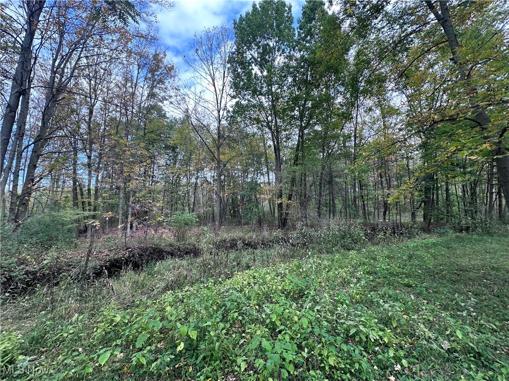 East Palestine, Ohio 44443, United States, ,Land,Active,226912