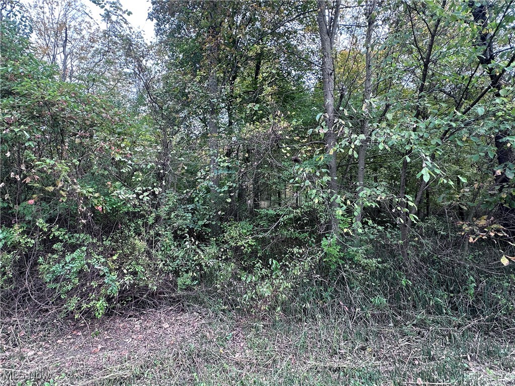 East Palestine, Ohio 44443, United States, ,Land,Active,226912