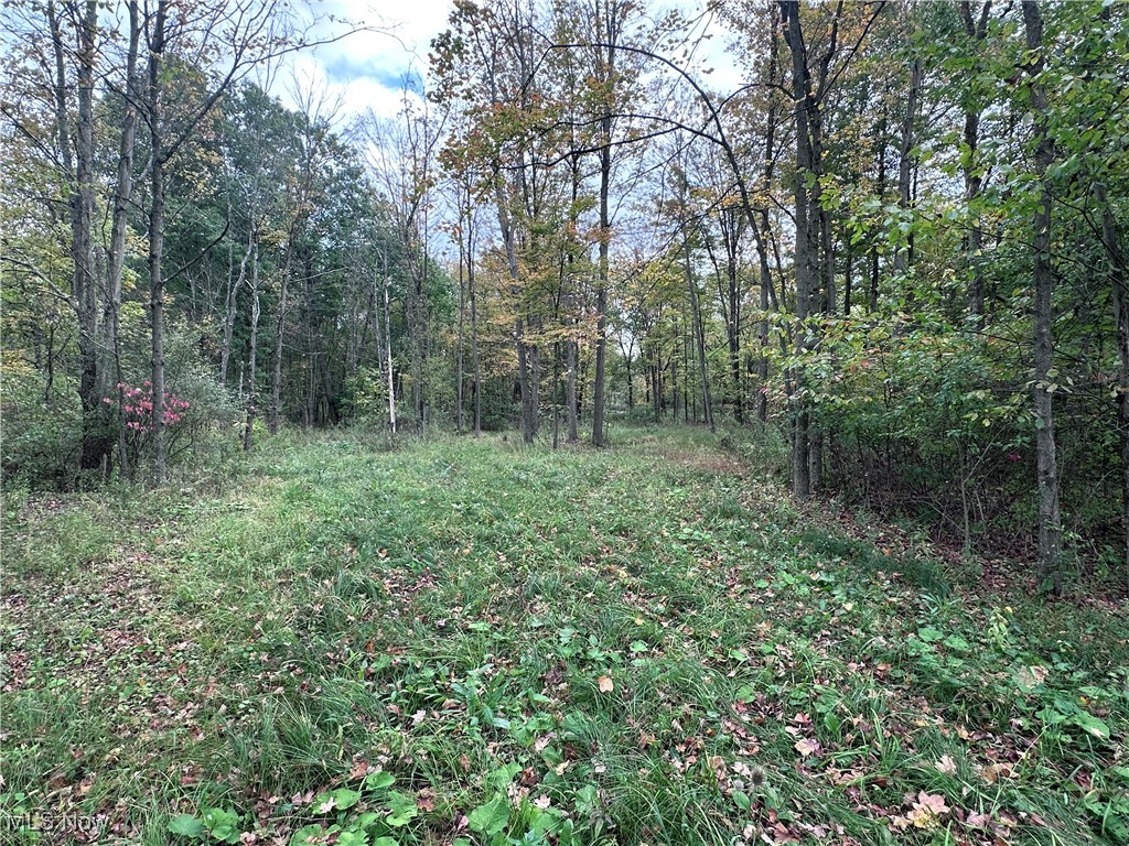 East Palestine, Ohio 44443, United States, ,Land,Active,226912