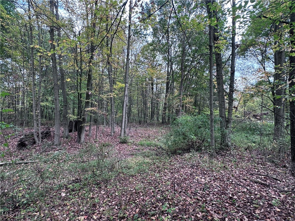 East Palestine, Ohio 44443, United States, ,Land,Active,226912