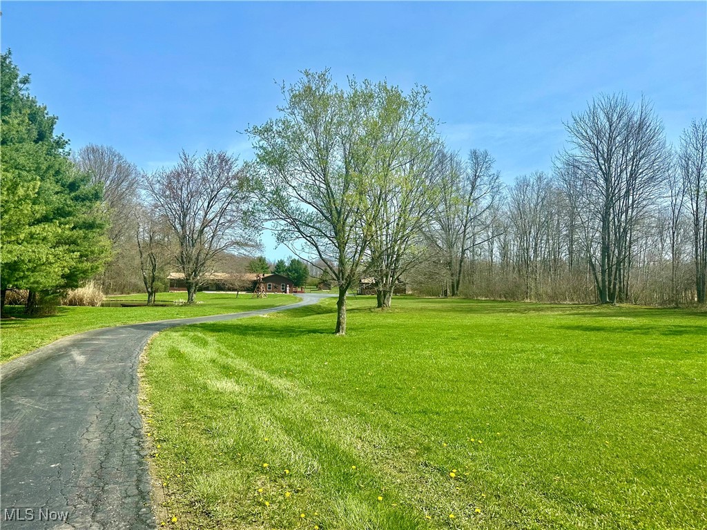 4955 Cadwallader Sonk Road, Vienna, Ohio image 4