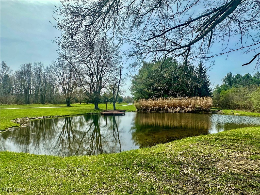 4955 Cadwallader Sonk Road, Vienna, Ohio image 6