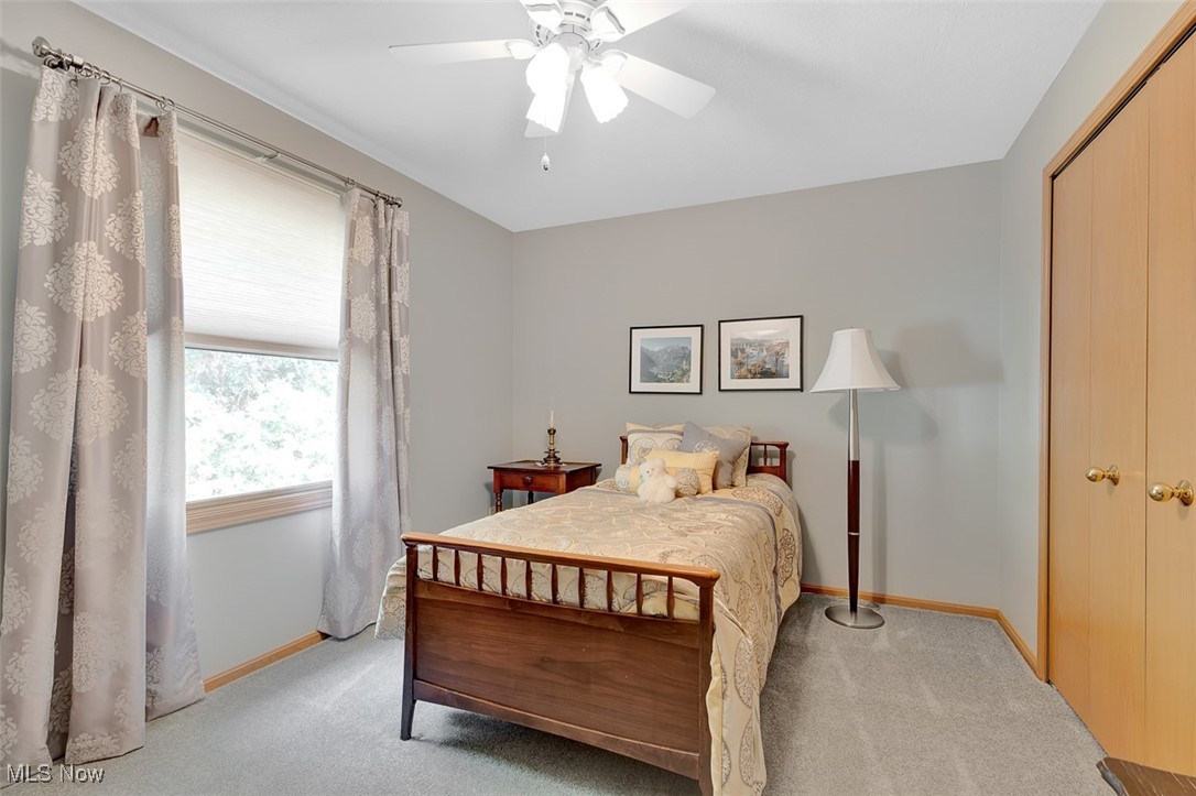 Newton Road Ph 02 - Residential