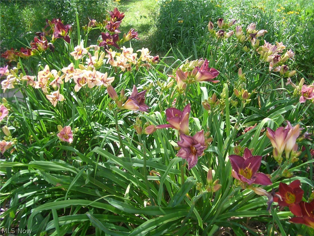 Preserve At Stonewater - Residential