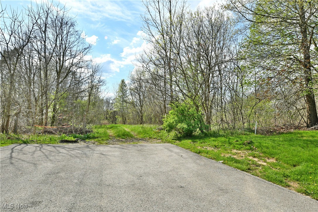 Summerfield Lane, Warren, Ohio image 16