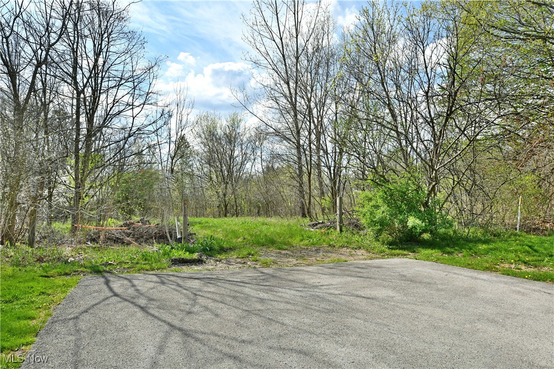 Summerfield Lane, Warren, Ohio image 17
