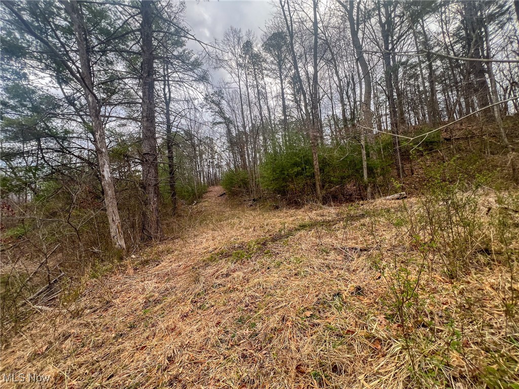 Ponetown Rd, Ray, Ohio image 9