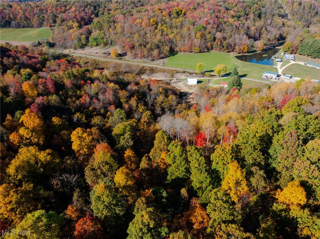 Kedigh Hollow Road, Newcomerstown, Ohio image 10