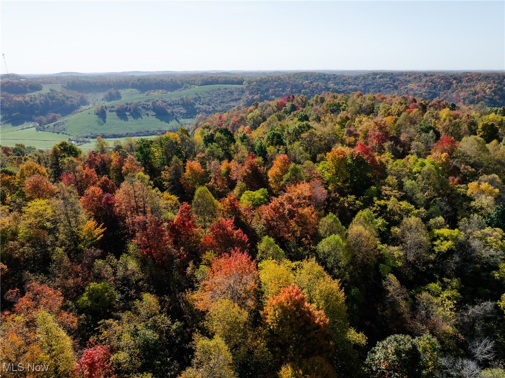 Kedigh Hollow Road, Newcomerstown, Ohio image 9