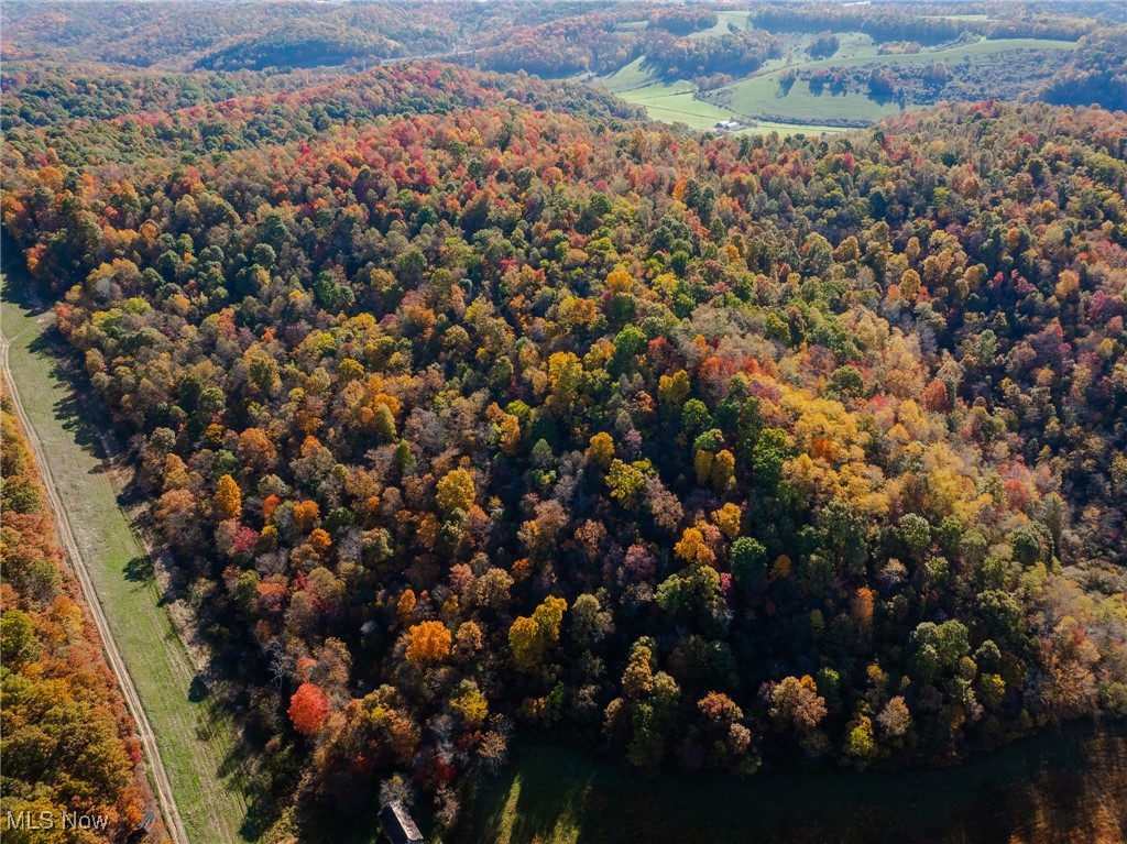 Kedigh Hollow Road, Newcomerstown, Ohio image 4