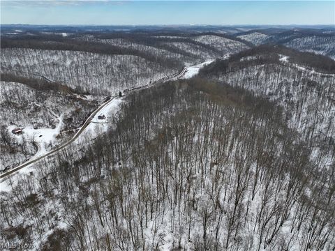 Vacant Land For Sale - Tract 7 Edwina Road<br/> Woodsfield, OH 43793