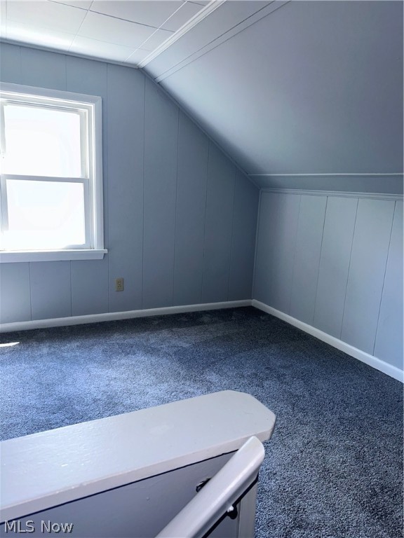 City Allotment Cos Shaker Vie - Residential