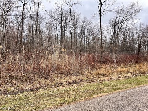 Vacant Land For Sale - Brianna Ct.  Lot 11<br/> Ashtabula County, Ashtabula, OH 44004
