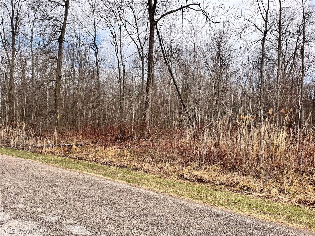 Mareddy Estates - Land