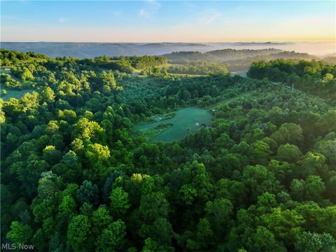 Vacant Land For Sale - Sykes Ridge Road<br/> Clarington, OH 43915