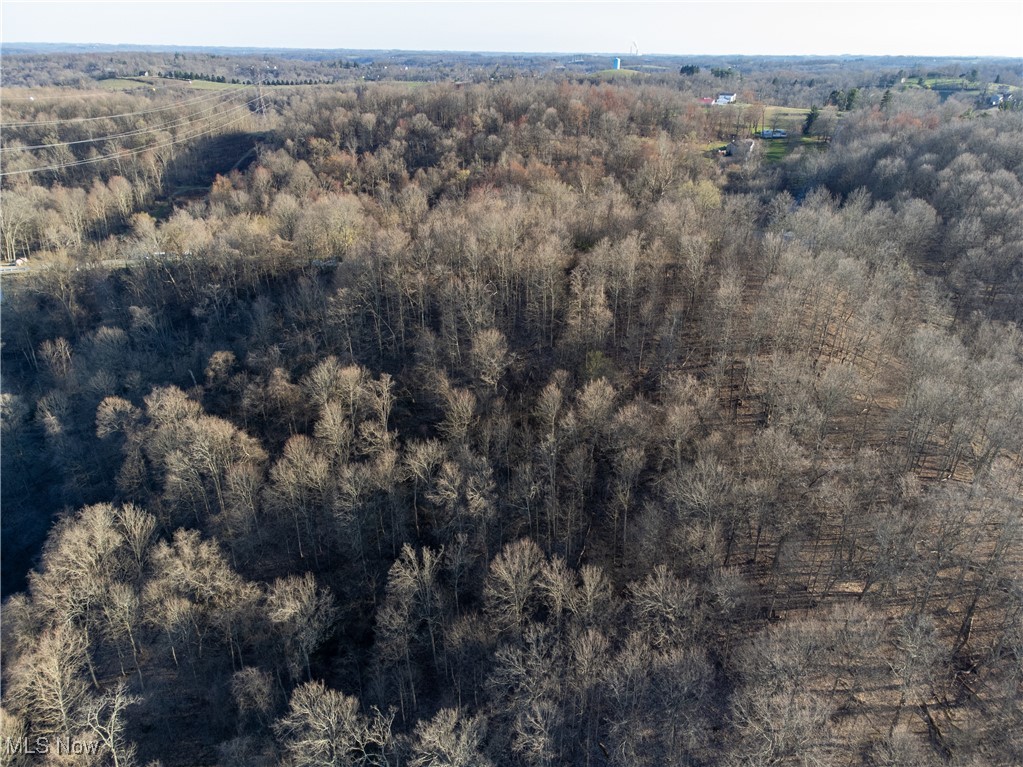 Fulton Hill Rd (cr 42), Bellaire, Ohio image 9