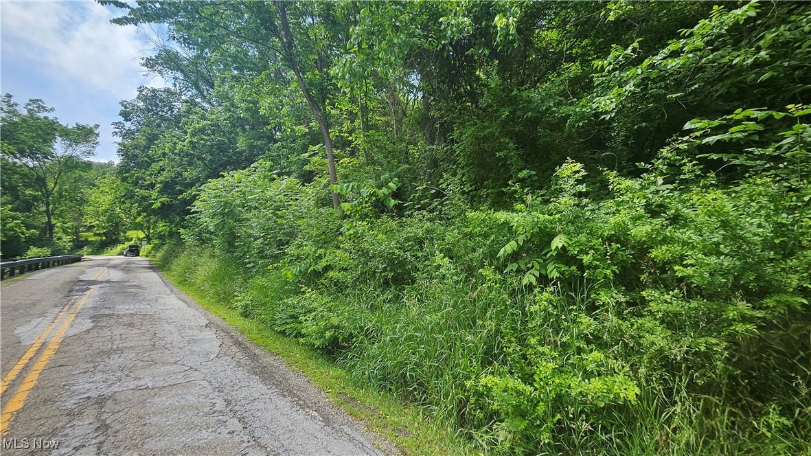 Fulton Hill Rd (cr 42), Bellaire, Ohio image 12