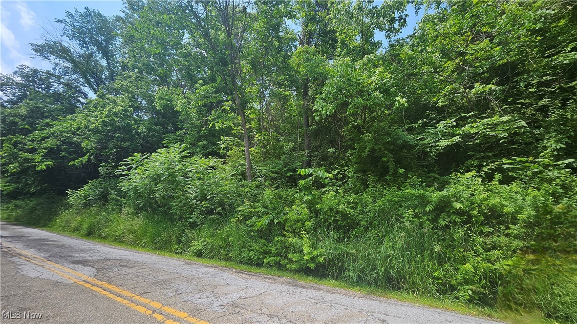 Fulton Hill Rd (cr 42), Bellaire, Ohio image 11