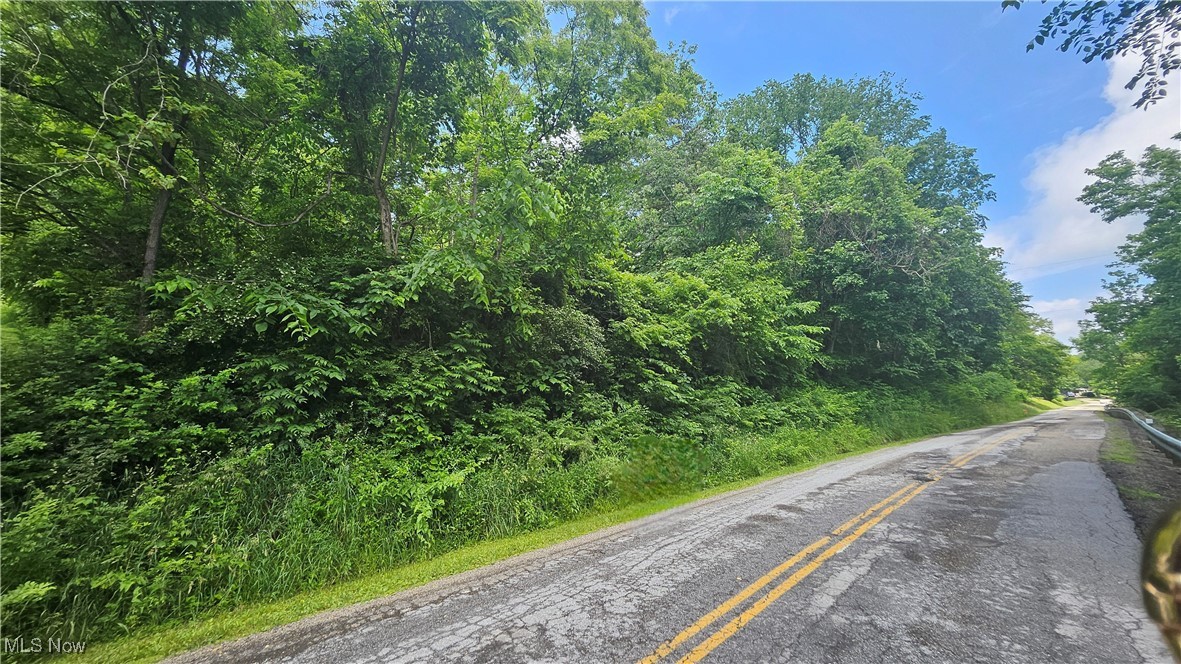 Fulton Hill Rd (cr 42), Bellaire, Ohio image 10