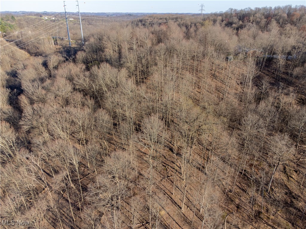 Fulton Hill Rd (cr 42), Bellaire, Ohio image 8