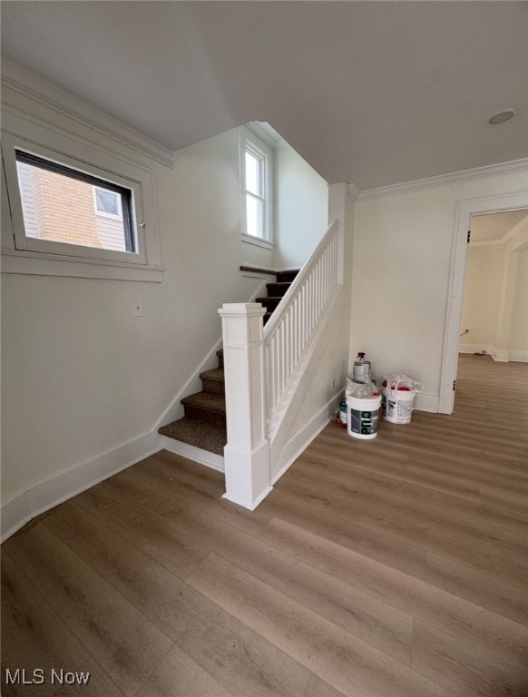 Village/Lowellville - Residential