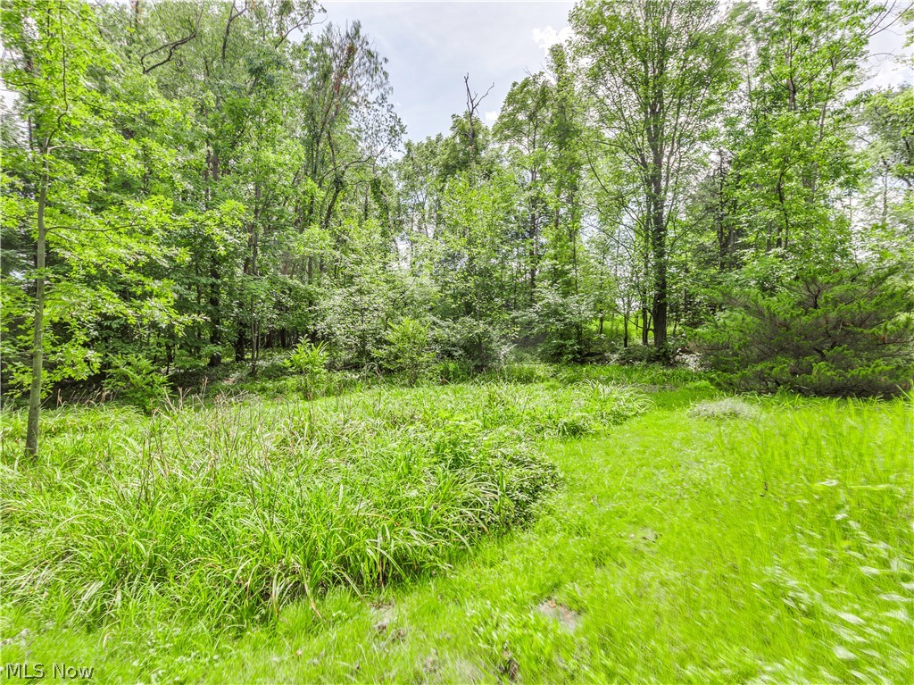 Tallmadgew Hill Allotment - Residential
