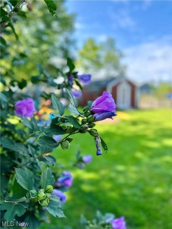 Center Rdg Heights Allotment - Residential