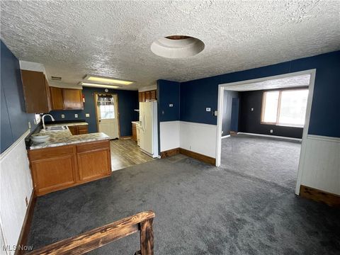 Tiny photo for 517 Maple Street, Pleasant City, OH 43772 (MLS # 5179605)